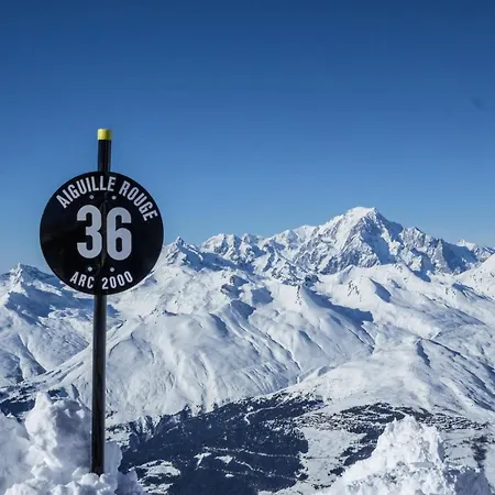 Alps Les Arcs 1950 Des Cimes, Ski-in Out,swimming Pool, Sauna, Shoes Dryer *